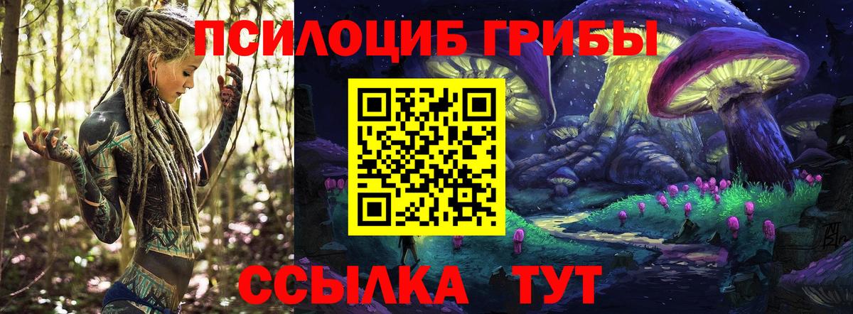 Псилоцибиновые грибы GOLDEN TEACHER  Вход с VPN  Псилоцибиновые грибы Psilocybe  Балабаново 