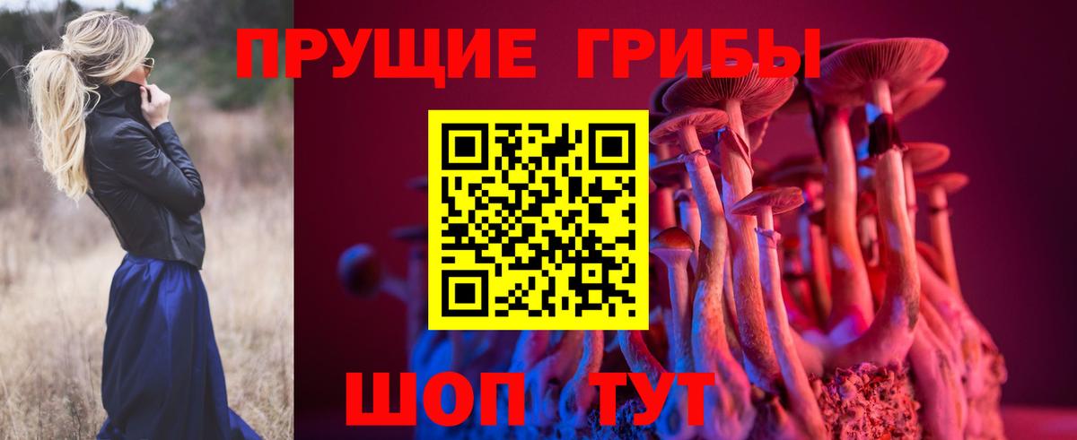 Псилоцибиновые грибы мицелий Балабаново